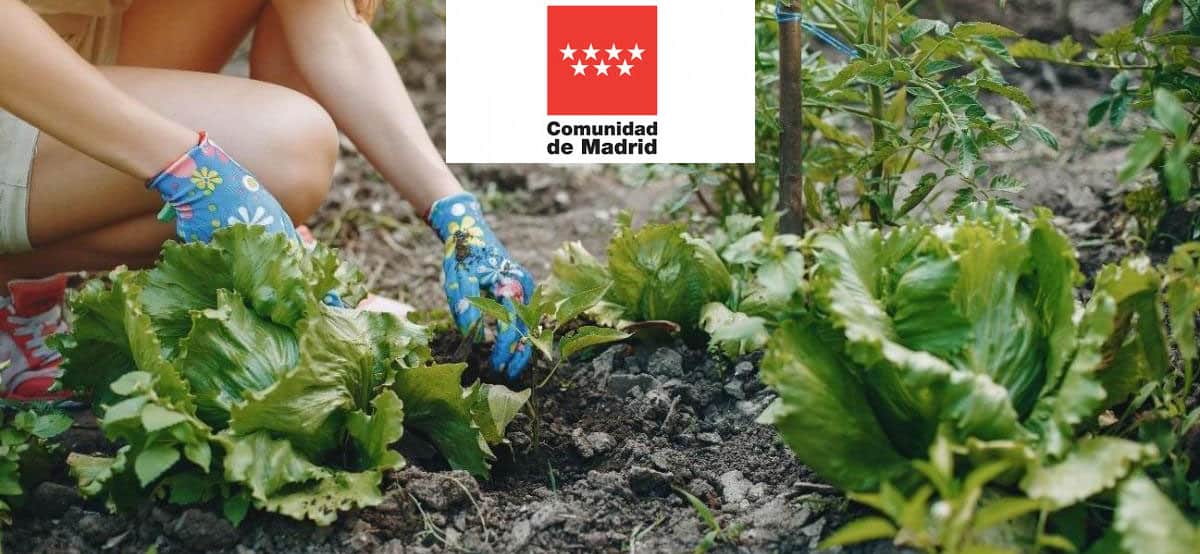 Personal de jardineria - Comunidad de Madrid