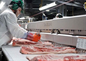 Operarios para sector alimentario - empleos Cuenca